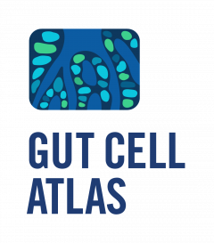 Gut Cell Atlas (Blue, Vertical, without Attribution)
