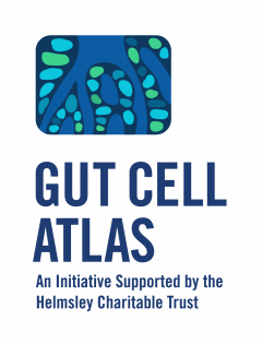 Gut Cell Atlas (Blue, Vertical, with Attribution)