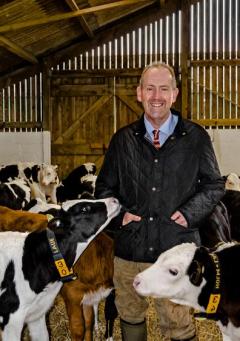 Professor Geoff Simm in a barn with calves