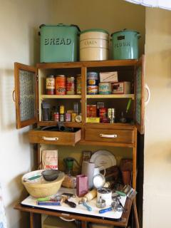 Photograph of a kitchen cupboard, with lots of different tins and cans of food.