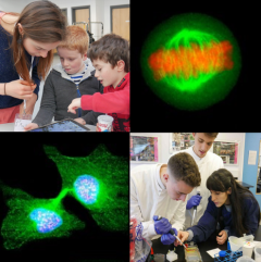 Collage of two cell microscopy images and images of researchers with, students and younger children.