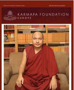 Karmapa Foundation Europe image