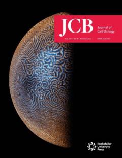 JCB Cover image Aug 2022