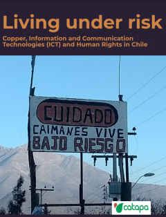 'Living Under Risk: Copper, Information and Communication Technologies' report cover
