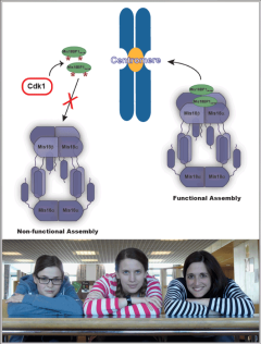 Image split in two, top half has research illustration, bottom half, three group members sit leaning toward camera
