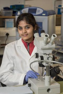 A photo of Nithya Nair, Biomedical Sciences (Life Sciences)