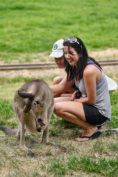 Nikki Kay with a kangaroo in Australia