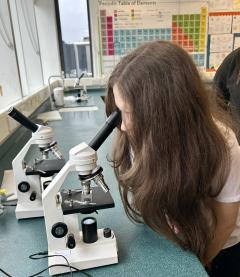 Students using a microscope