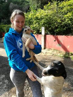 Rosie went to India to work on animal welfare and spay/neuter programmes