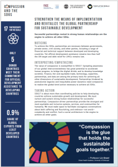 SDG17 compassion resource thumbnail