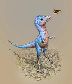Image of baby tyrannosaur