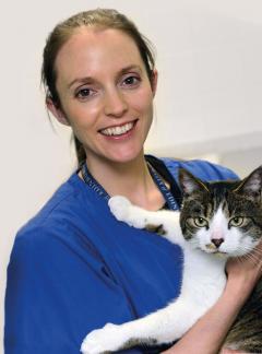 referred patients - vet with cat