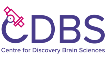 Centre for Discovery Brain Sciences Transparent Logo