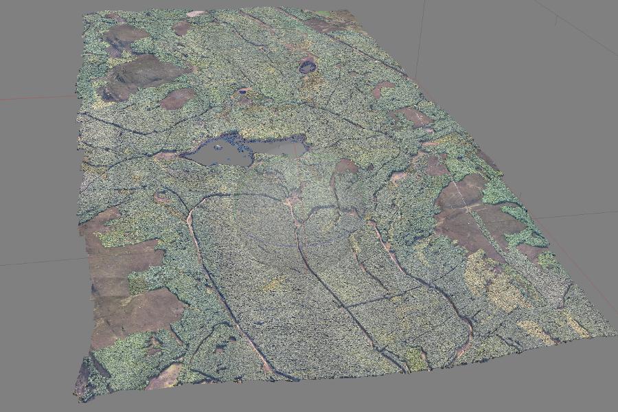 3D colourised point cloud of Griffin Forest, Scotland, using data captured by the university aircraft.