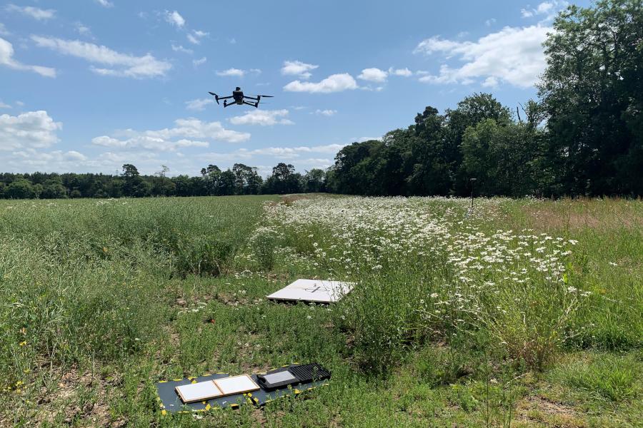 Image of a Mavic 3M drone over a field margin in flower