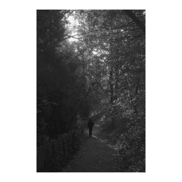 shadowy figure walking on path through trees