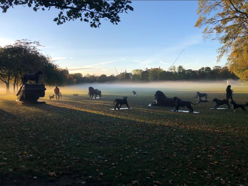 lion statues in edinburgh, morning fog
