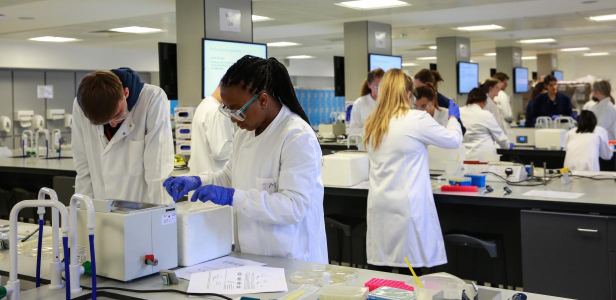 A group of students in a science lab are performing an experiment while wearing lab coats, googles and gloves