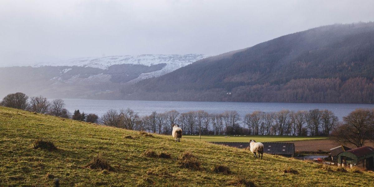 Views around Killin