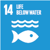 Sustainable Development Goal (SDG) 14: Life below water