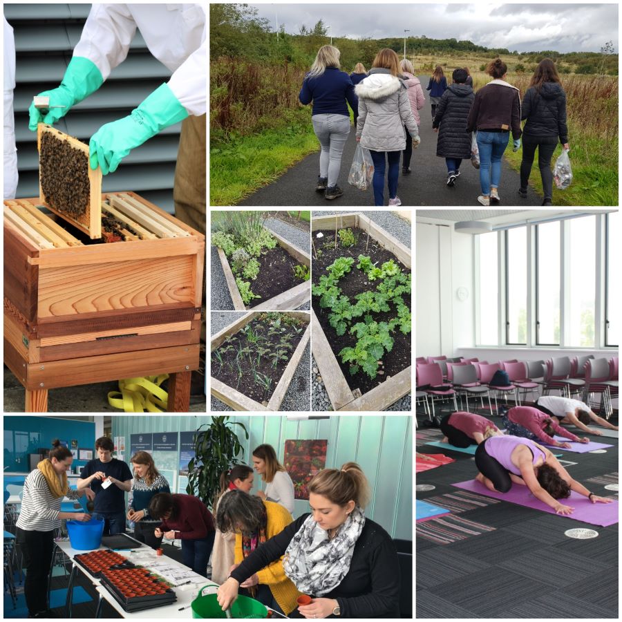 Collage of images including bee keeping, garden allotment, walks, planting herbs, yoga