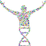 An illustration of a DNA strand forming into the shape of a person with raised arms.