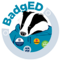 Badg-Ed logo showing a badger wearing a hoodie decorated with badges. 