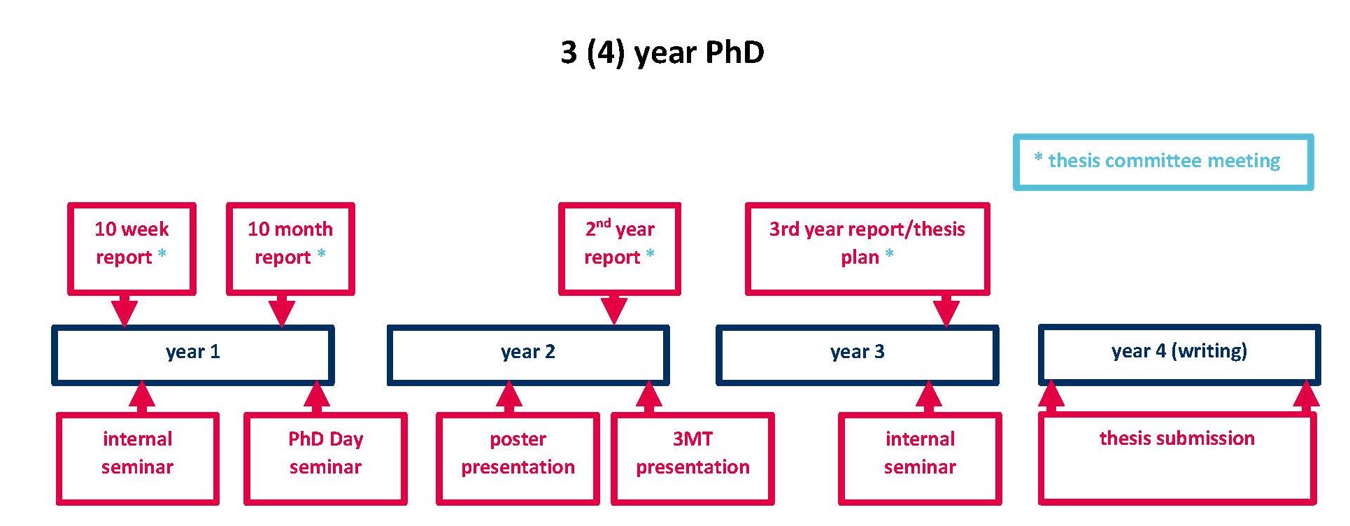 diagram of timeline of activities required at PhD level