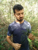 Photograph of Rafael Cruz holding the fern psilotum