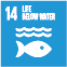 Sustainable development goal 14: Life below water