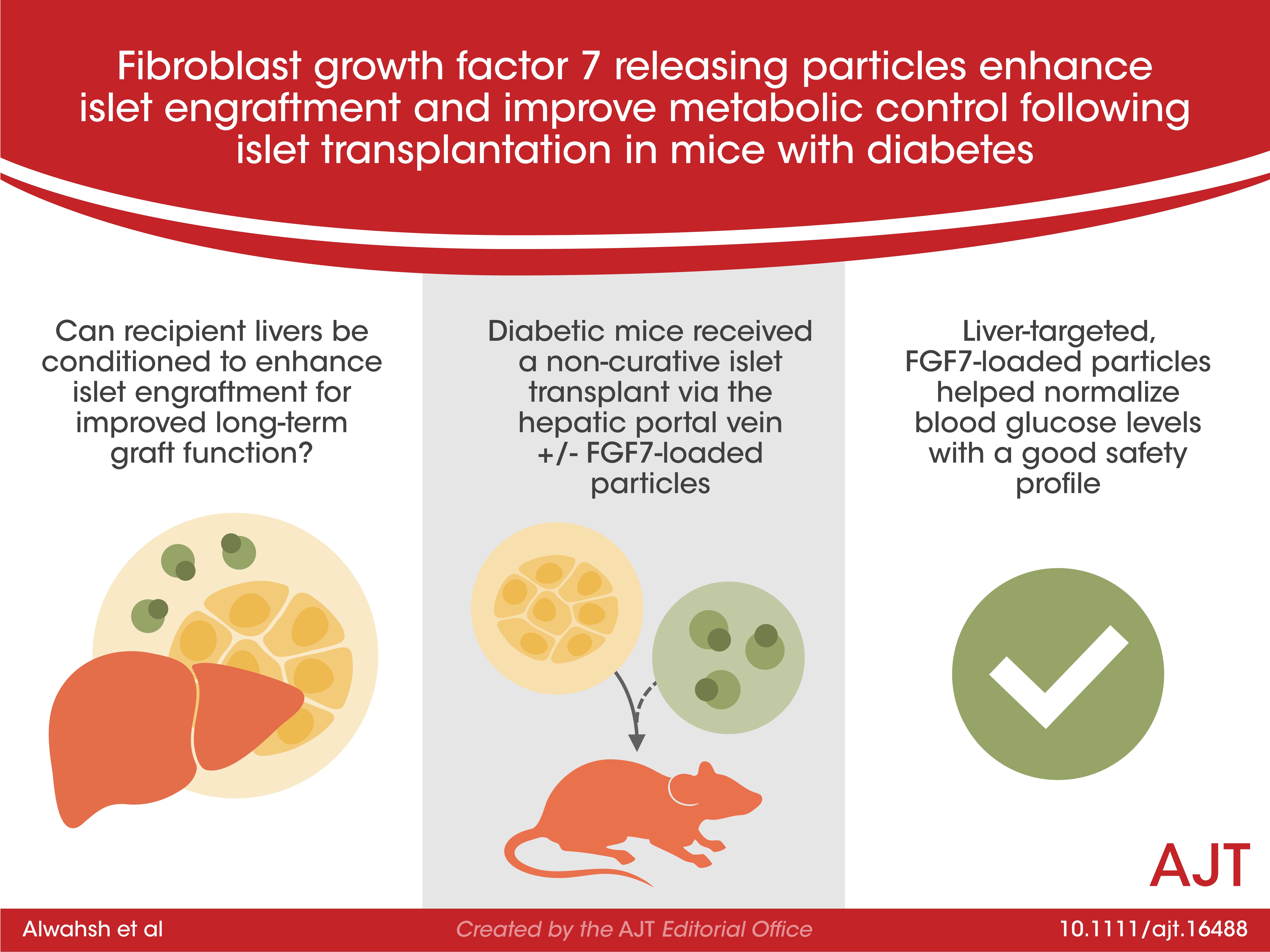 Fibroblast growth factor 7 releasing particles enhance islet engraftment and improve metabolic control following islet transplan